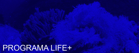 Programa LIFE+
