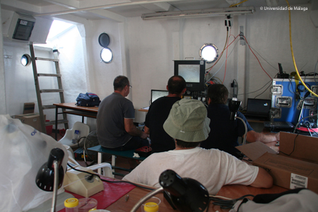 Todos atentos a las pantallas del ROV. Foto: Agustín Barrajón.