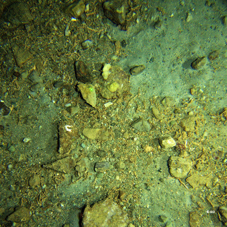 Imagen tomada por el VOR en la cumbre del volcán de fango Gazul (370 metros de profundidad), en la que se observan los fragmentos de costras carbonatadas que son la prueba de la actividad de las bacterias consumidoras de metano expulsado por el volcán © I