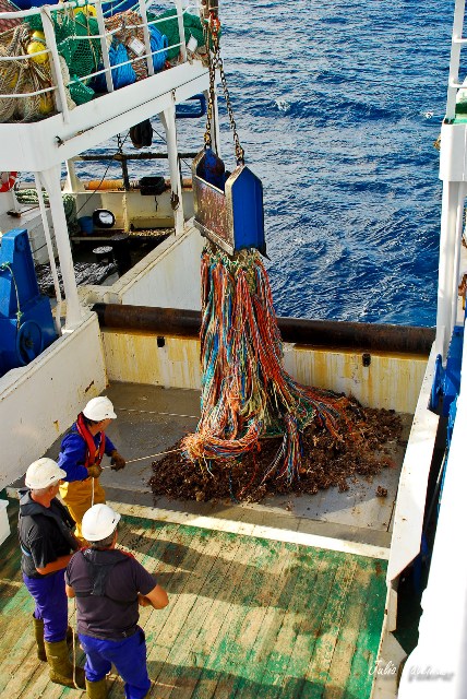 Separación de la muestra de draga de roca en la cubierta del BO Miguel Oliver