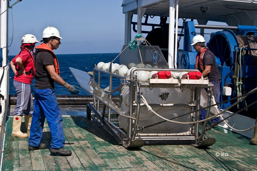 Trineo suprabentónico © IEO