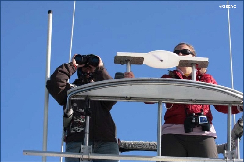 Juliana Castrillón de la SECAC y la voluntaria italiana Elena Papale en su turno de observación ©SECAC