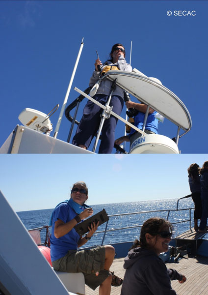 Los datos se cantan desde la torre a la persona encargada de las fichas ©SECAC