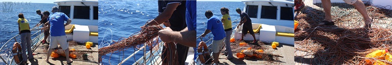 Recogida de un palangre a la deriva ©SECAC