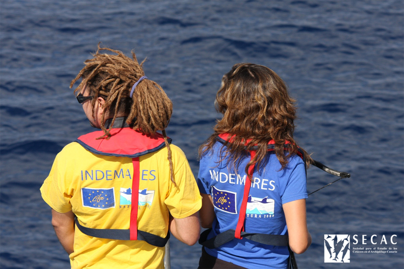 E. Pérez-Gil (izda., fotoidentificación) y M. Tejedor (dcha., biopsias) esperando la emersión del rorcual tropical © SECAC