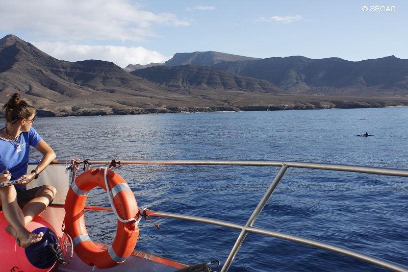 Registro de la información durante un avistamiento ©SECAC