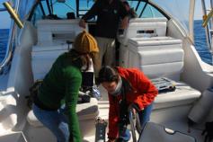 Bajando el sonar ©Submon