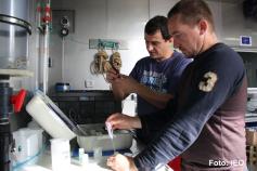 José Luis Rueda y Melo González, los especialistas en Bentos del Grupo GEMAR, calibran los equipos científicos antes de realizar la analítica en las muestras de box corer ©IEO
