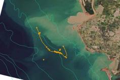 La desembocadura del río Guadalquivir ofrece el espectáculo de las plumas de turbidez. Transportan una importante carga de material (sedimentos y materia orgánica, principalmente), que es posteriormente depositada sobre el fondo marino ©IEO 