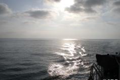 Cuando el sol está cerca del ocaso, nosotros recogemos todo el instrumental y regresamos a puerto. Hay un largo trecho que aprovechamos para seguir clasificando el material que hemos recogido con los arrastres y las dragas de caja. El intenso trabajo a bo