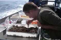 José Luis Rueda Ruíz revisando el material obtenido en un muestreo. La meticulosidad que emplea este bentólogo es digna de encomio. No se altera por nada, aunque haya toneladas de material a su alrededor. Paso a paso iremos resolviendo el almacenaje. No c