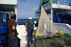 Lanzado del patín epibentónico por la popa del barco, donde se puede ver el tamaño que tiene la red que se usa. Campaña Agosto 2011 Canal de Menorca © IEO