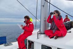 Realizando avistamientos y tomando datos / Undertaking watching and taking notes ©CEMMA