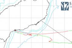 Mapa del transecto realizado © SECAC