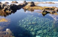 Charca Alborán / Alborán pool ©Reservas Marinas/SGM